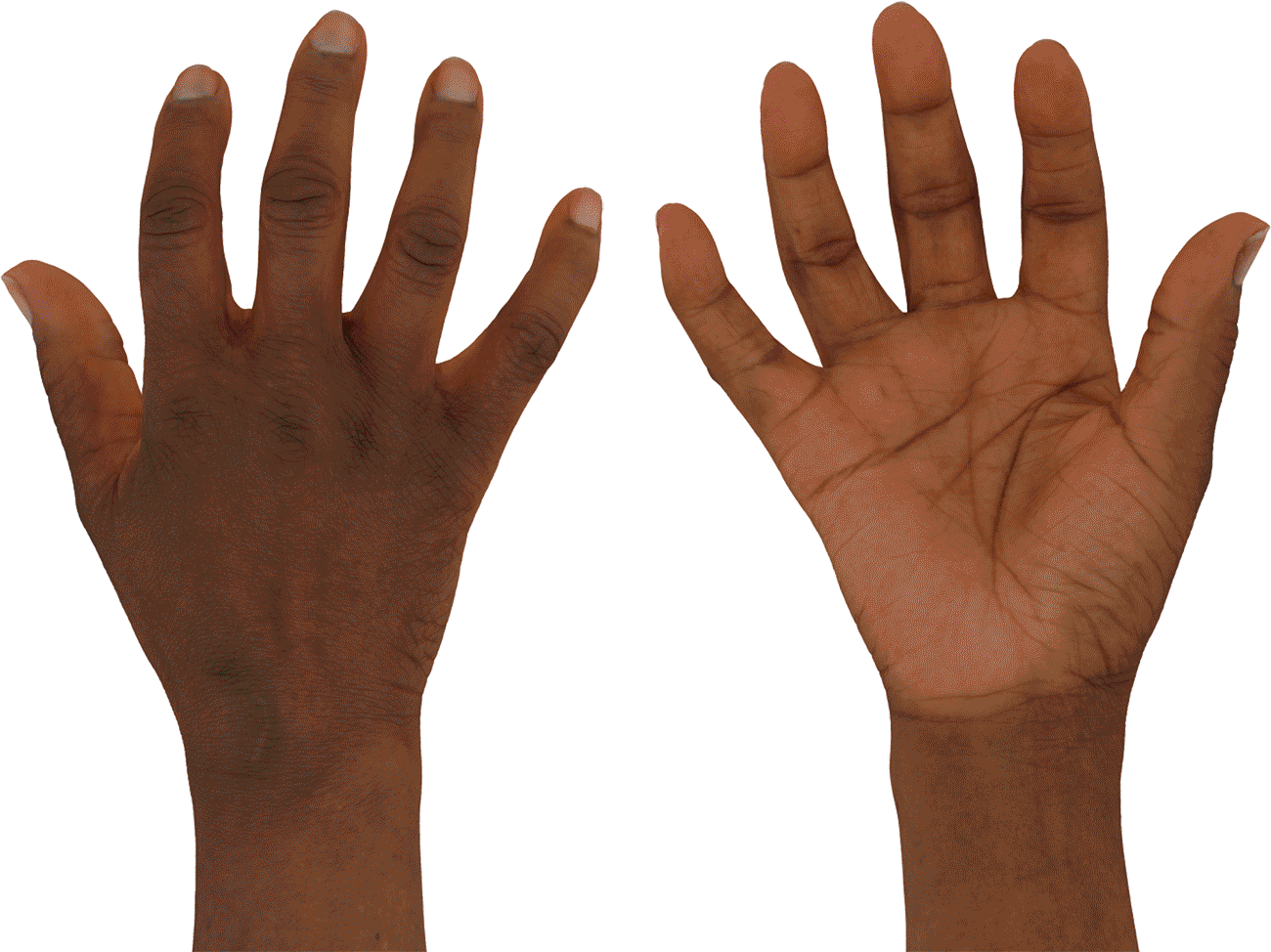 Female Hand Normal Maps